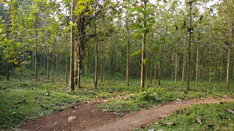 Dijual Cepat Tanah 30.797 m2 di Maja, Lebak – Banten PR1894